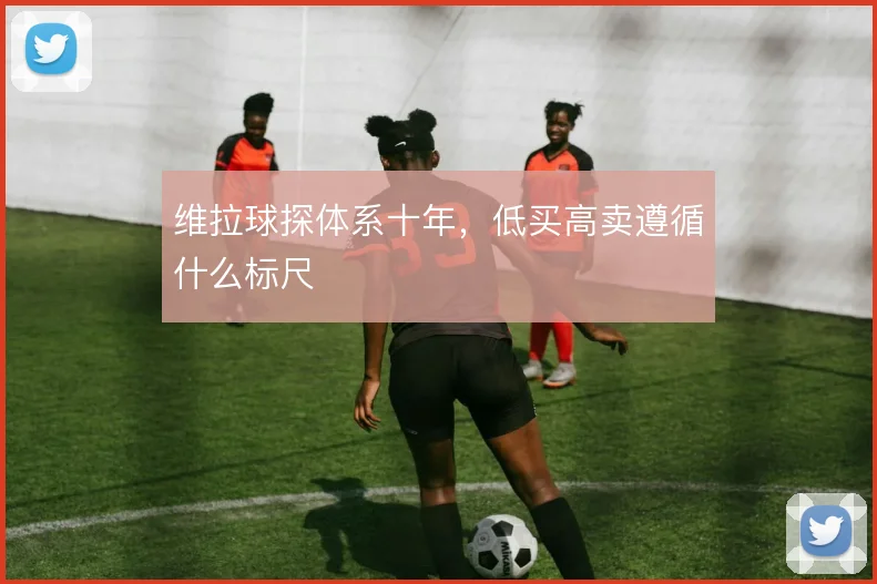 维拉球探体系十年,低买高卖遵循什么标尺