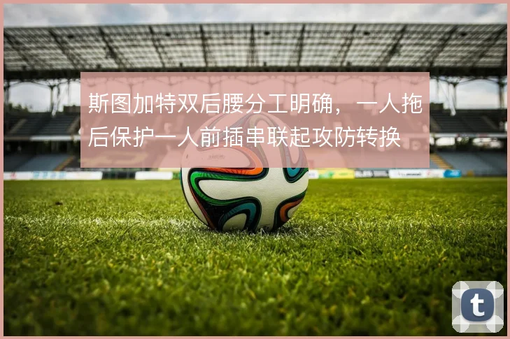 斯图加特双后腰分工明确,一人拖后保护一人前插串联起攻防转换